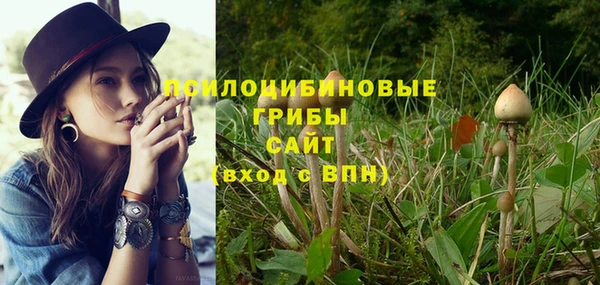2c-b Алексеевка